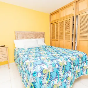 Flexitels 1005 Medellín